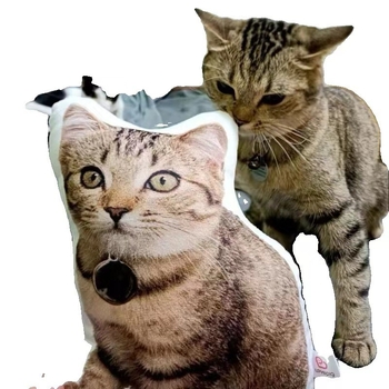 Tulnuka isetegemise Buddha väike kaaslane 3D-padi ilma ääriseta prinditav foto ilma valge servata naljakas liivaskulptuuri nukutehase kohandamine