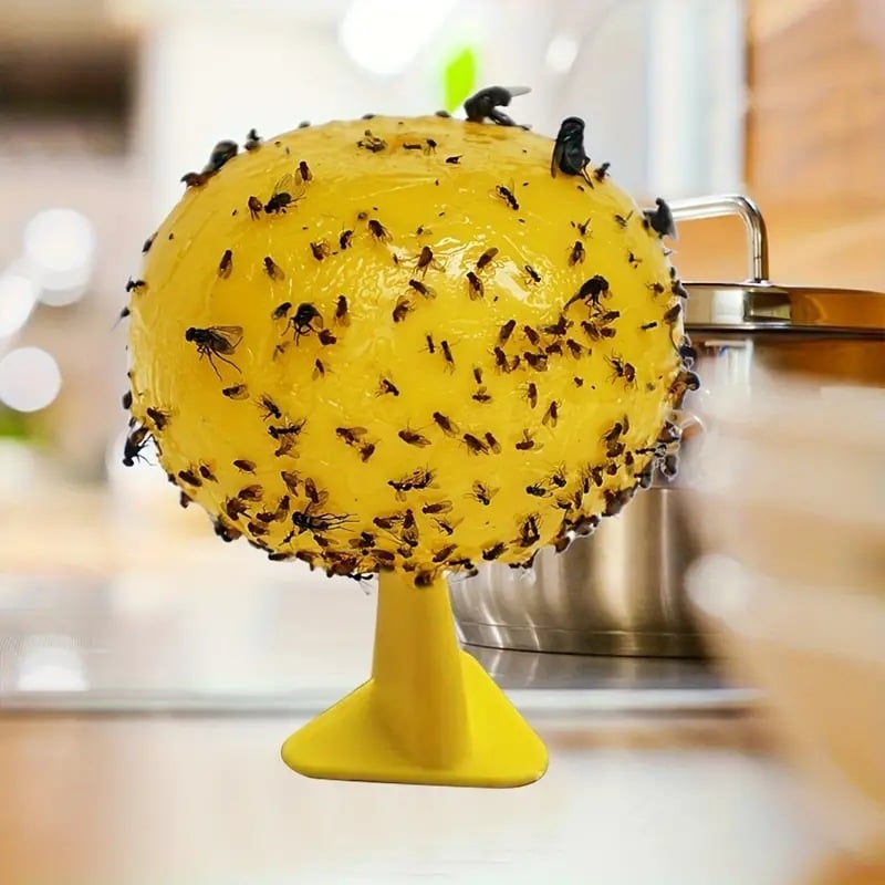 Mušu slazda bumba citrusaugļu liela augļu muša melone augļu mušu slazds un nogalina augļu mušu nūjiņu tārpu bumba slazda bumba melone augļu nūjiņu mušu bumba