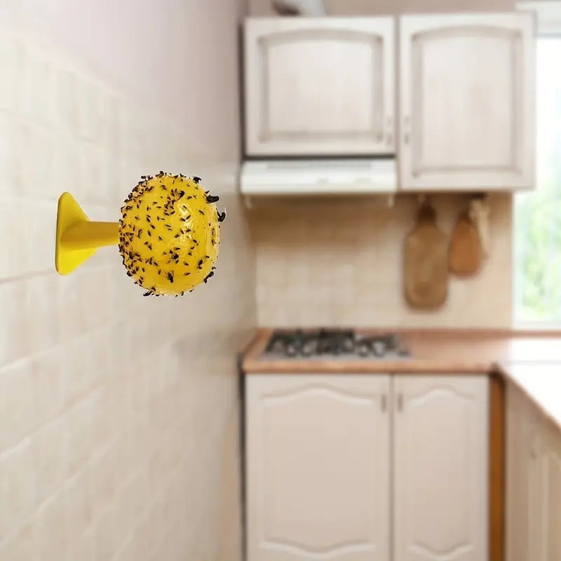 Musėkautų kamuoliukas citrusinių vaisių musė melionas vaisių musių spąstai ir vaisių musių lazdelės kirmino kamuoliukas gaudyklė melionas vaisių lazdelės musės kamuoliukas