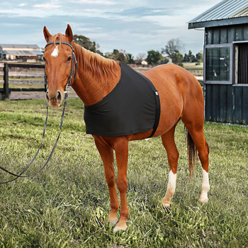 Határokon átnyúló lómellény, magas rugalmasságú spandex szövet, vállvédő, lóruházat, bélés, súrlódásgátló lovas kellékek raktáron