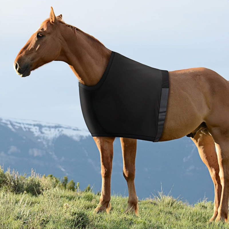 Határokon átnyúló lómellény, magas rugalmasságú spandex szövet, vállvédő, lóruházat, bélés, súrlódásgátló lovas kellékek raktáron