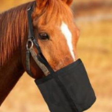 Piiriülesed uued tooted Elastne reguleeritav hobuse söödakott Õues rippuv kaelasöödakott Suuheinakott Hobuse heinakott