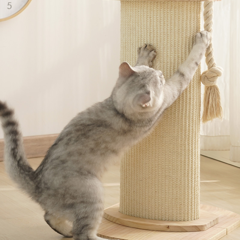 Kačių draskyklė, atspari dilimui, pleiskanų nesukelianti kačių draskyklė, sizalio letenėlė, medžio masyvo kačių draskyklė, vertikalus laipiojimo rėmas katėms, integruotas žaislas katėms