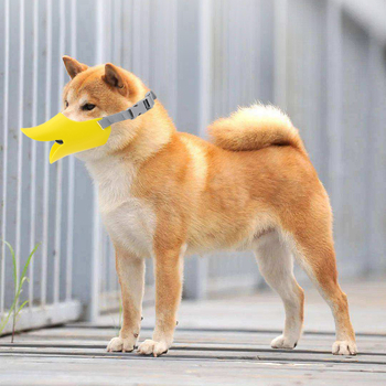 Naminių gyvūnėlių anties burnos rinkinys šuns burnos rinkinys, skirtas apsaugoti nuo ėdimo ir kandžiojimosi Teddy VIP augintinio burnos rinkinys, skirtas tiesiogiai iš gamyklos, šuns burnos rinkinys