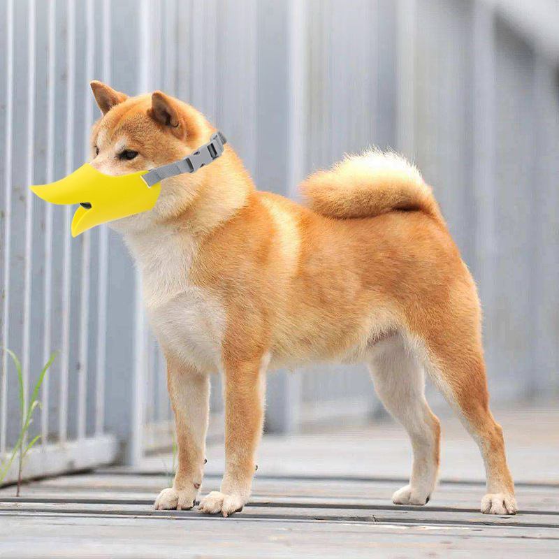 Naminių gyvūnėlių anties burnos rinkinys šuns burnos rinkinys, skirtas apsaugoti nuo ėdimo ir kandžiojimosi Teddy VIP augintinio burnos rinkinys, skirtas tiesiogiai iš gamyklos, šuns burnos rinkinys