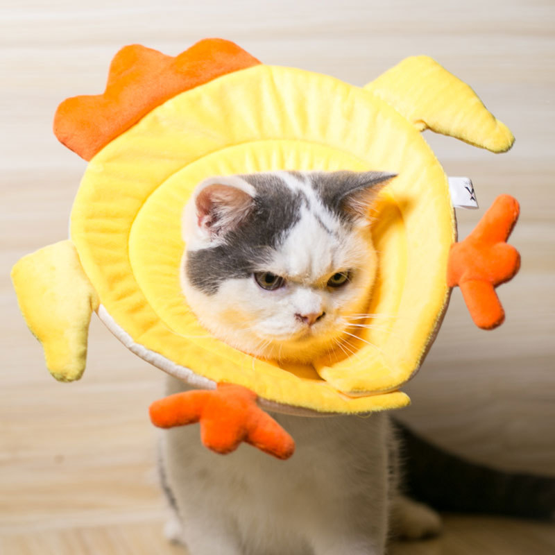 Napraforgó Erzsébet-korabeli nyakörv macskáknak és kutyáknak, karcolásgátló és harapás elleni fejfedő, puha macskanyakörv, szégyenkör