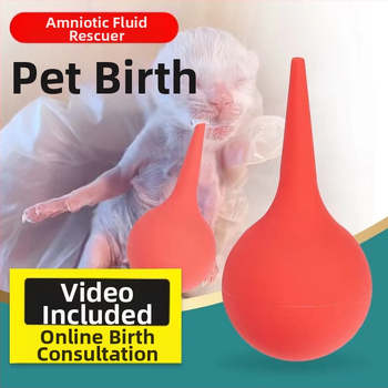 Lootevee imemine Kass Lemmikloom Kass Nina imemine Kutsikas Lämbumine Veega päästmine Lootevee pumpamine Kraavid