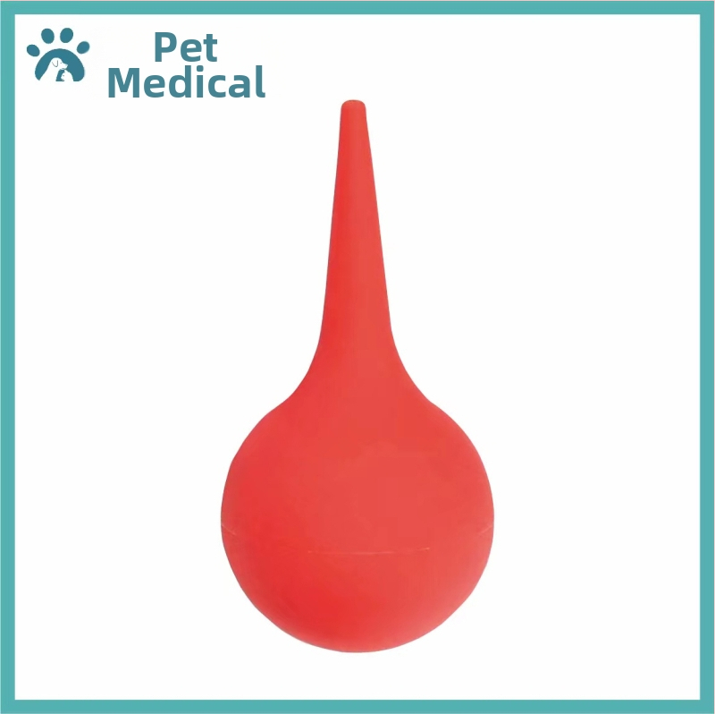 Lootevee imemine Kass Lemmikloom Kass Nina imemine Kutsikas Lämbumine Veega päästmine Lootevee pumpamine Kraavid