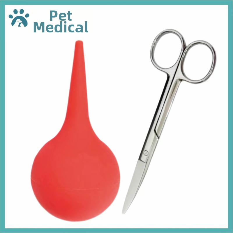 Lootevee imemine Kass Lemmikloom Kass Nina imemine Kutsikas Lämbumine Veega päästmine Lootevee pumpamine Kraavid