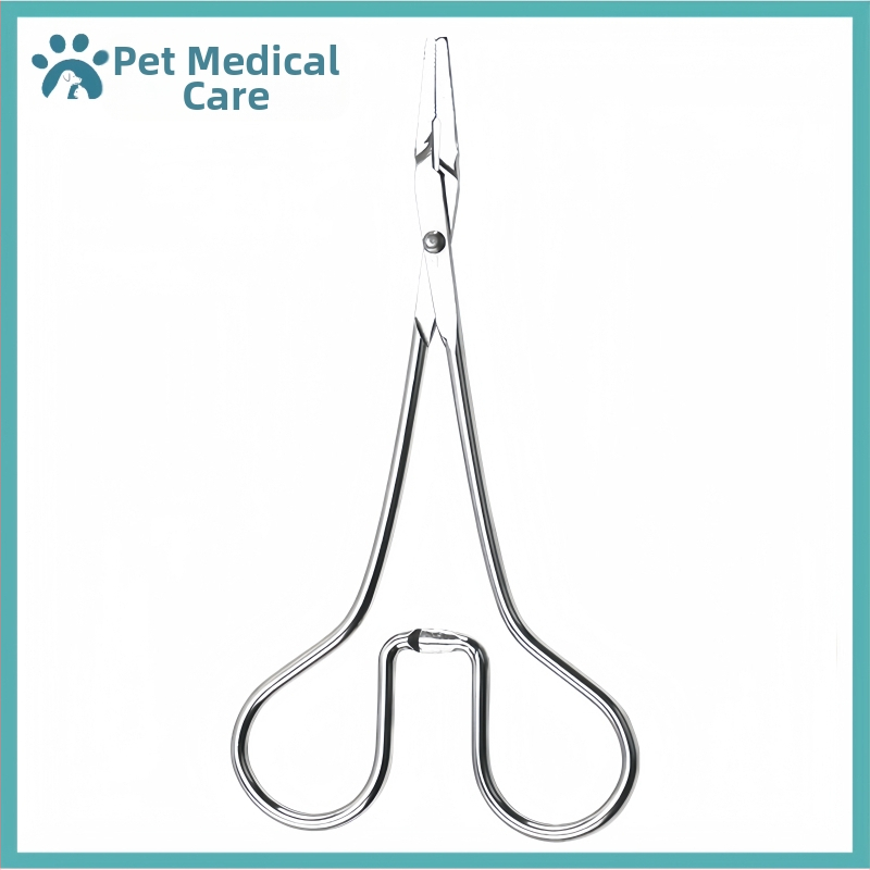 Lootevee imemine Kass Lemmikloom Kass Nina imemine Kutsikas Lämbumine Veega päästmine Lootevee pumpamine Kraavid