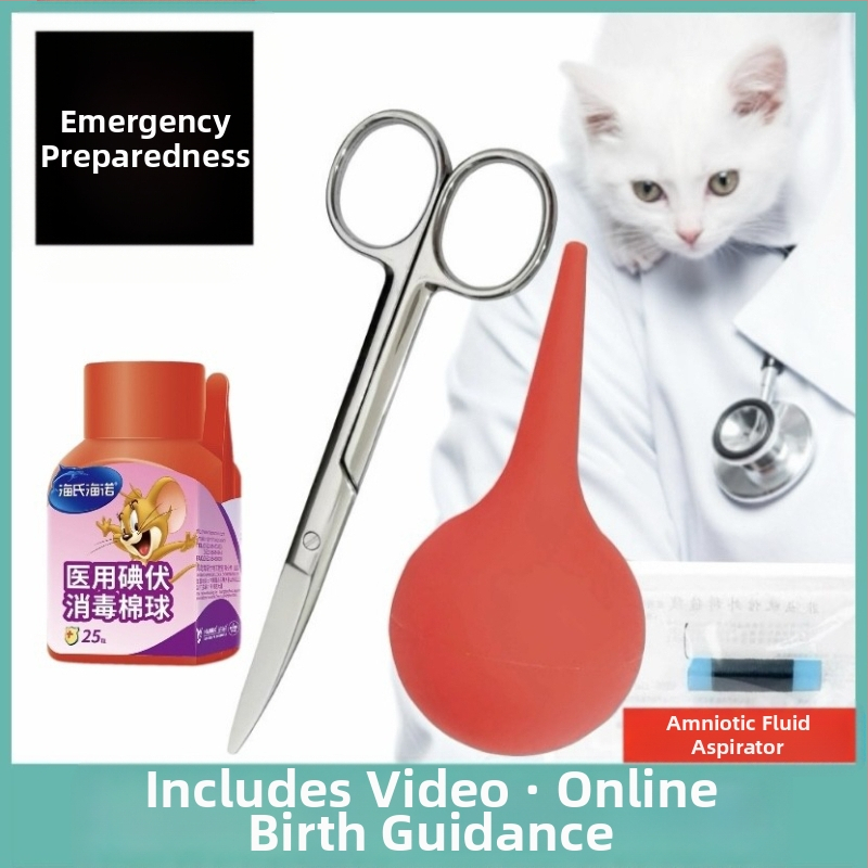 Lootevee imemine Kass Lemmikloom Kass Nina imemine Kutsikas Lämbumine Veega päästmine Lootevee pumpamine Kraavid