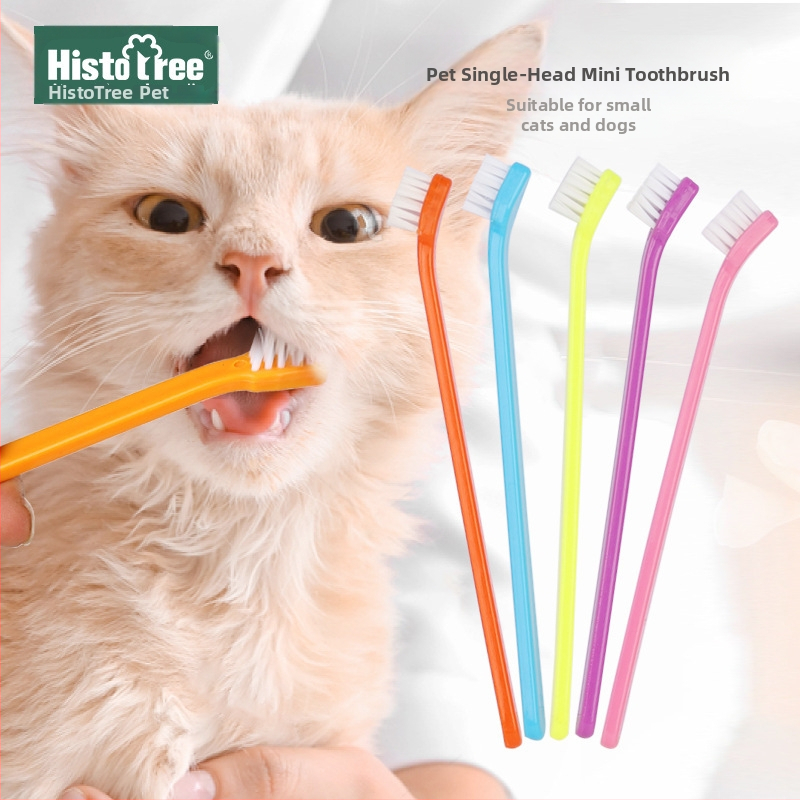 Οδοντόβουρτσα κατοικίδιων ζώων οδοντόβουρτσα με μία κεφαλή για γάτες οδοντόβουρτσα καθαρισμού στόματος για γάτες οδοντόβουρτσα φροντίδας σκύλου οδοντόβουρτσα σκύλου προμήθειες κατοικίδιων ζώων χονδρικής