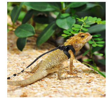 Μικρή συσκευή έλξης για κατοικίδια, αντι-απώλεια, ολλανδικό γουρούνι, σχοινί έλξης τσιντσιλά, σαύρα, σχοινί έλξης, αναρρίχηση, σχοινί έλξης για κατοικίδια