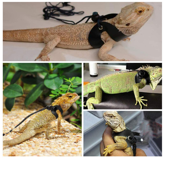Μικρή συσκευή έλξης για κατοικίδια, αντι-απώλεια, ολλανδικό γουρούνι, σχοινί έλξης τσιντσιλά, σαύρα, σχοινί έλξης, αναρρίχηση, σχοινί έλξης για κατοικίδια