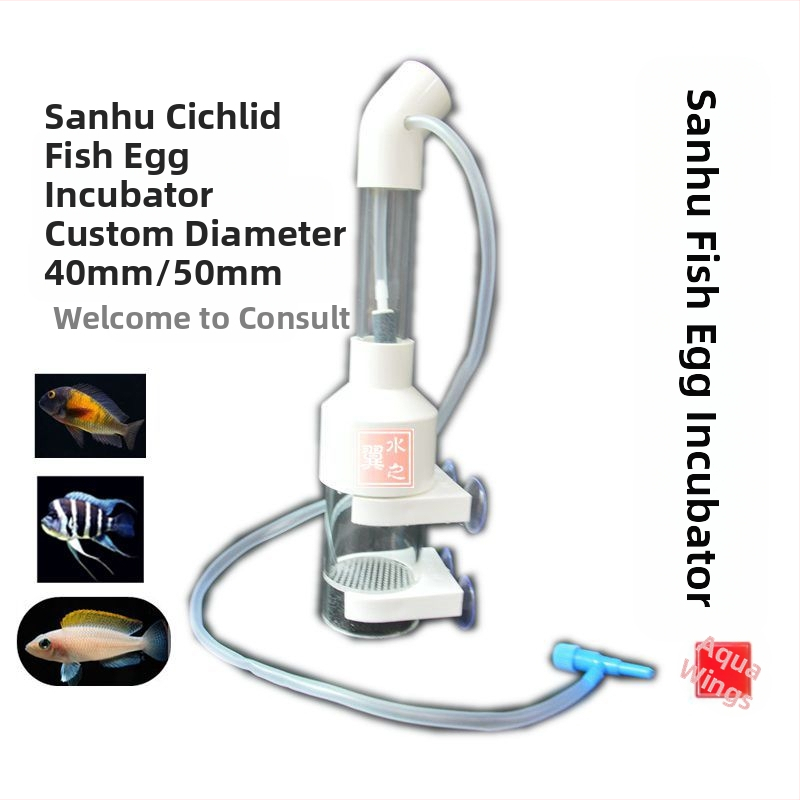 Трансгранично на склад -50 мм инкубатор за рибни яйца три езера цихлиди рибни яйца хетеротип бентосни декоративни риби развъждане на тропически риби