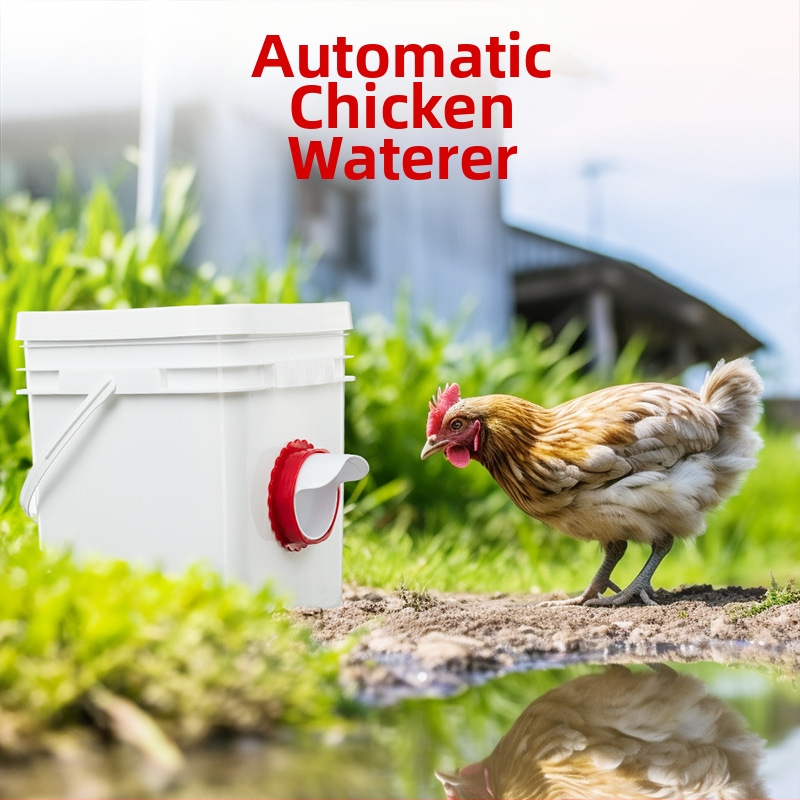 Linnukasvatuse söötja vihmakindel automaatne söötja kana-pardisöötja ämber gravitatsiooniküna jootur Amazoni hulgimüük