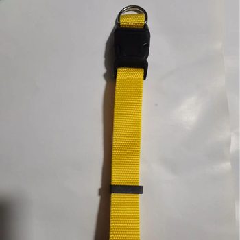 Χονδρική πώληση ειδών κατοικίδιων ζώων Απλό νάιλον κολάρο λουρί σκύλου κολάρο κολάρο λουρί κατοικίδιων ζώων σκύλος