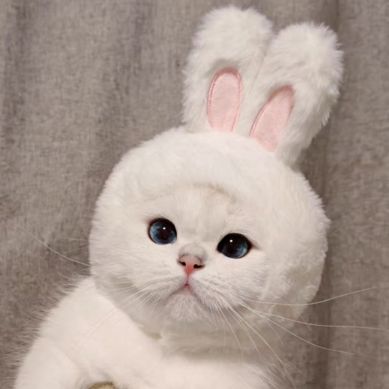 Домашни любимци Заешка шапка Котка Куче Интернет празнуващ Заешка шапка Преобличане Шапка със заешки уши Фото аксесоари