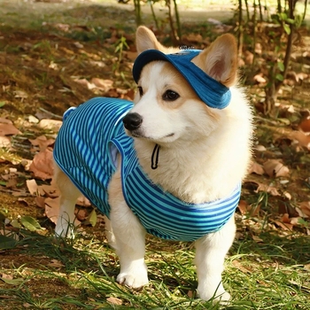 2025 Нова лятна шапка за домашни любимци, малка, средна и голяма, пропусклива за уши, слънцезащита, ленена, дънкова, шапка за кучета на едро