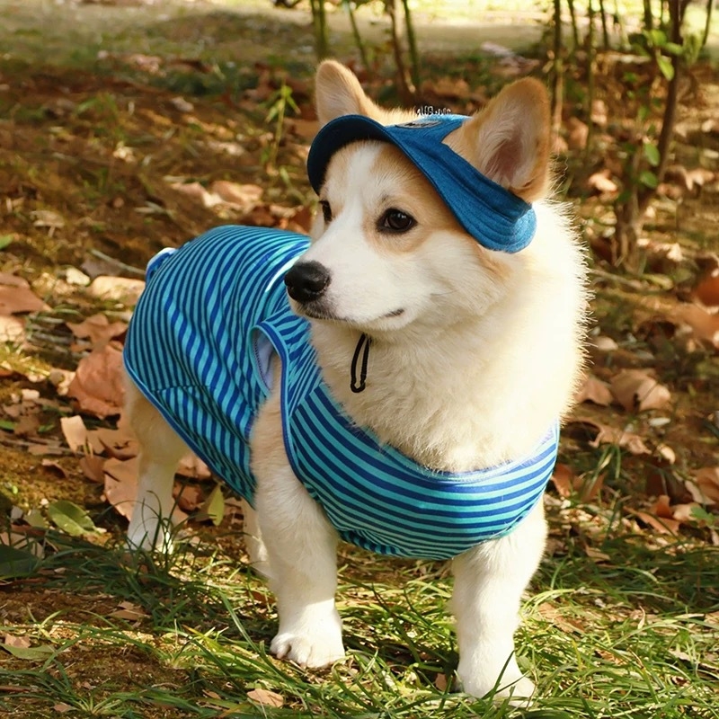 2025 Нова лятна шапка за домашни любимци, малка, средна и голяма, пропусклива за уши, слънцезащита, ленена, дънкова, шапка за кучета на едро