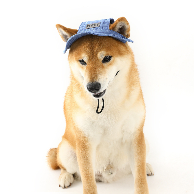 2025 Нова лятна шапка за домашни любимци, малка, средна и голяма, пропусклива за уши, слънцезащита, ленена, дънкова, шапка за кучета на едро