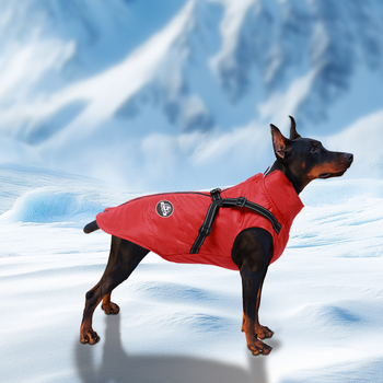 Ρούχα για σκύλους με βαμβάκι για το φθινόπωρο και τον χειμώνα, ζεστά και ανθεκτικά στο κρύο ρούχα για κατοικίδια, πυκνό αδιάβροχο στήθος και πλάτη, ενσωματωμένο βαμβακερό μπουφάν για σκύλους χονδρικής