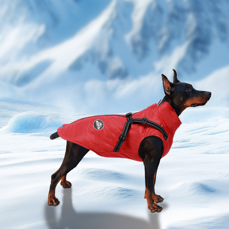 Prekogranična odjeća za pse s pamučnom podstavom za jesen i zimu, topla i hladnootporna odjeća za kućne ljubimce, zadebljana vodootporna jakna za pse s integriranom pamučnom podstavom za prsa i leđa, veleprodaja