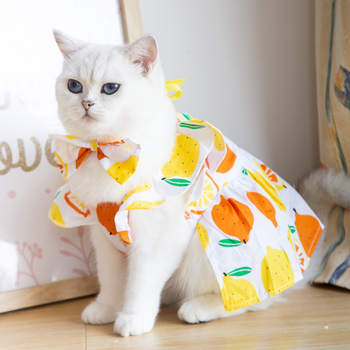 Могат да се поставят трансгранични етикети от името на производители на дрехи за домашни любимци, светлосини дрехи за кучета с цветя, лятно облекло за котки на едро