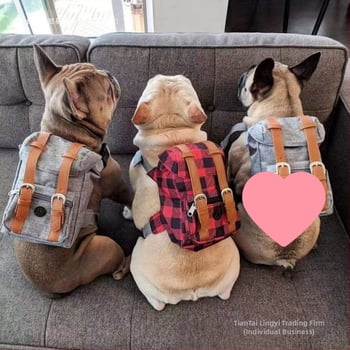 Suure koera veojõuköis rinnarihm suurele ja väikesele koerale seljakoti vesti stiilis armas kaisukaru lemmiklooma kett