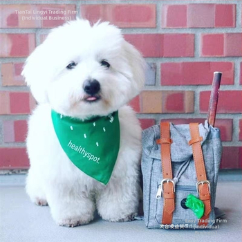 Suure koera veojõuköis rinnarihm suurele ja väikesele koerale seljakoti vesti stiilis armas kaisukaru lemmiklooma kett