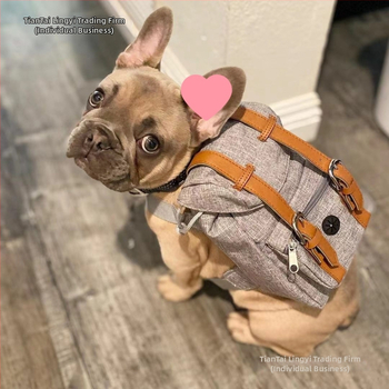 Suure koera veojõuköis rinnarihm suurele ja väikesele koerale seljakoti vesti stiilis armas kaisukaru lemmiklooma kett