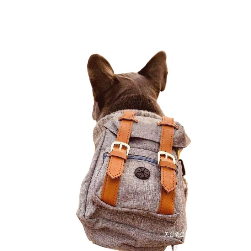 Suure koera veojõuköis rinnarihm suurele ja väikesele koerale seljakoti vesti stiilis armas kaisukaru lemmiklooma kett