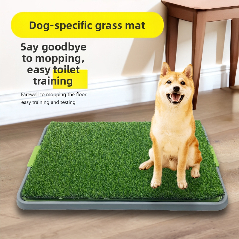 Naminių šunų tualetas, vidutinio dydžio, mažo šuns, dirbtinė veja, tuštinimosi valymas, apsaugantis nuo laiptų, šiukšlių puodas, skirtas pisuarui