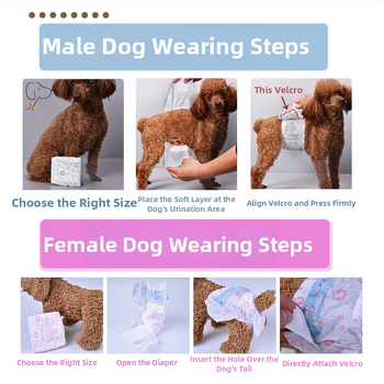 Χάρτινα παντελόνια για κατοικίδια για σκύλους, ειδικά για θηλυκά σκυλιά σε έξαρση, φυσιολογικά προστατευτικά παντελόνια για την αποφυγή εγκυμοσύνης, προϊόντα υγιεινής για αρσενικά σκυλιά Teddy, αδιάβροχα