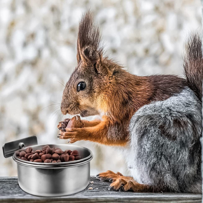 Купа за храна за папагали от неръждаема стомана, кутия за храна, купа за храна, купа за вода, чаша за храна, корито за храна за птици, специално удебелено