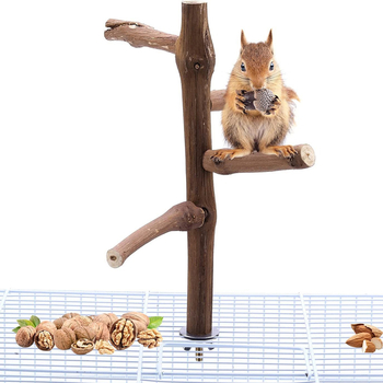 Βάση για Σταθμό Πουλιών Αξεσουάρ Κλουβιού Πουλιών Είδη Πουλιών Σκεύη Σταθμός Σταφυλιών Ράβδος Παιχνίδι Πουλιών Παιχνίδι για Πουλιά που Κατοικεί Πουλιών Παιχνίδι για Ρόγχο Παπαγάλων