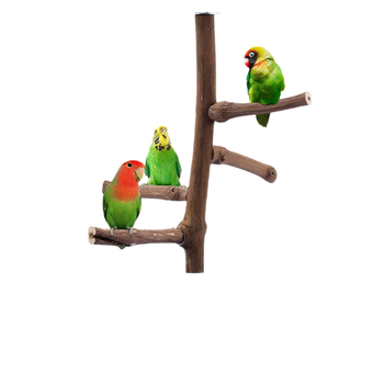 Βάση για Σταθμό Πουλιών Αξεσουάρ Κλουβιού Πουλιών Είδη Πουλιών Σκεύη Σταθμός Σταφυλιών Ράβδος Παιχνίδι Πουλιών Παιχνίδι για Πουλιά που Κατοικεί Πουλιών Παιχνίδι για Ρόγχο Παπαγάλων