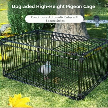 Tianluo puuri krüptimine Ainult sisenemine keelatud Tuvi puuri tabamus Ukse puuri aasauks Automaatne taastumine Tuvi artefakt