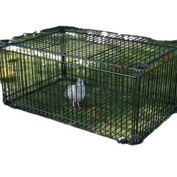 Tianluo puuri krüptimine Ainult sisenemine keelatud Tuvi puuri tabamus Ukse puuri aasauks Automaatne taastumine Tuvi artefakt