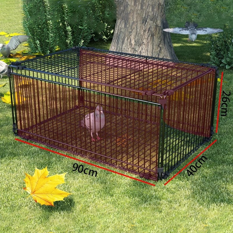 Tianluo puuri krüptimine Ainult sisenemine keelatud Tuvi puuri tabamus Ukse puuri aasauks Automaatne taastumine Tuvi artefakt