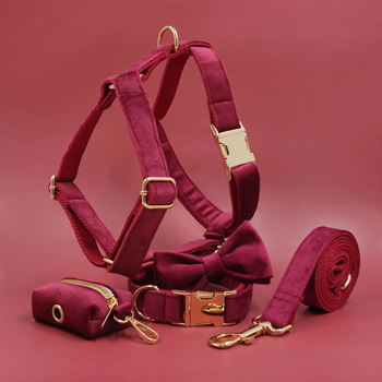 Piiriülene kuum müük kuuma veini punasest sametist lemmiklooma kaelarihm koera köiest koeravest ülikond jalutama koera prügikott