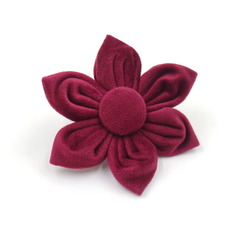 Piiriülene kuum müük kuuma veini punasest sametist lemmiklooma kaelarihm koera köiest koeravest ülikond jalutama koera prügikott