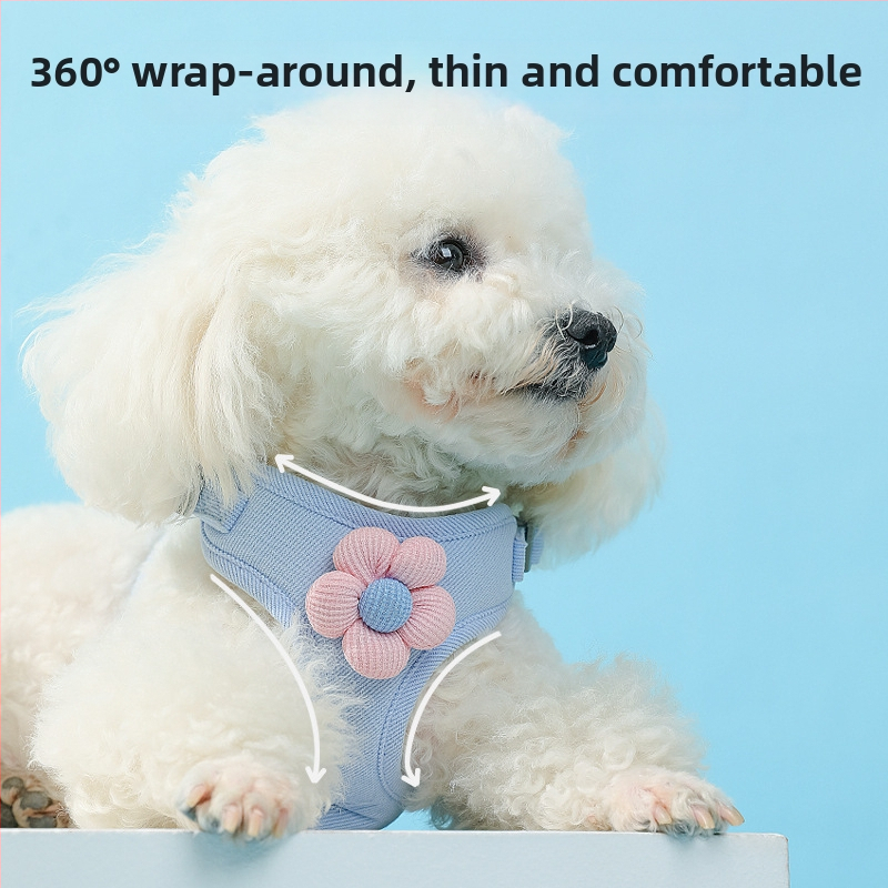 Нова жилетка за кучета с цветно въже за сцепление, стил мечка, кученце, каишка за гърди за домашни любимци ... едро на едро