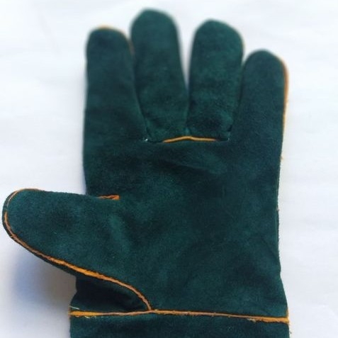 Lemmikloomatooted Amazoni populaarsed roomajate hammustusvastased kindad 60 cm lemmikloomade kaitsekindad hiiglasliku sisaliku hammustusvastased kindad