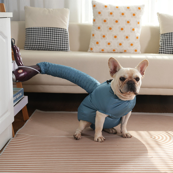 Кутия за сушене на домашни любимци, голяма сушилня за кучешка козина, издухване на артефакти, сушилня за домакинска козина, издухване на артефакти, вана, фиксирана чанта за златен ретривър