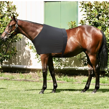 Γιλέκο αλόγου Προστατευτικά ώμων αλόγου Υψηλής ελαστικότητας αντιτριβικό Είδη ιππασίας για άλογα που πετούν άλογα Αντικουνουπικά ζεστά γιλέκα