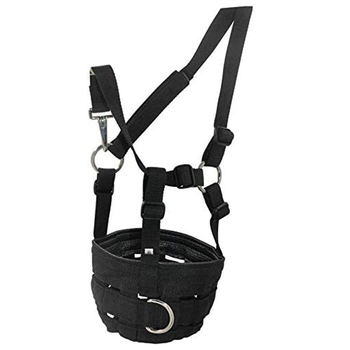 Κάλυμμα στόματος αλόγου κεφάλι δράκου αλόγου κάλυμμα στόματος αλόγου σετ αλόγου κάλυμμα στόματος αλόγου κατά του δαγκώματος είδη ιππασίας μάσκα κορδέλα