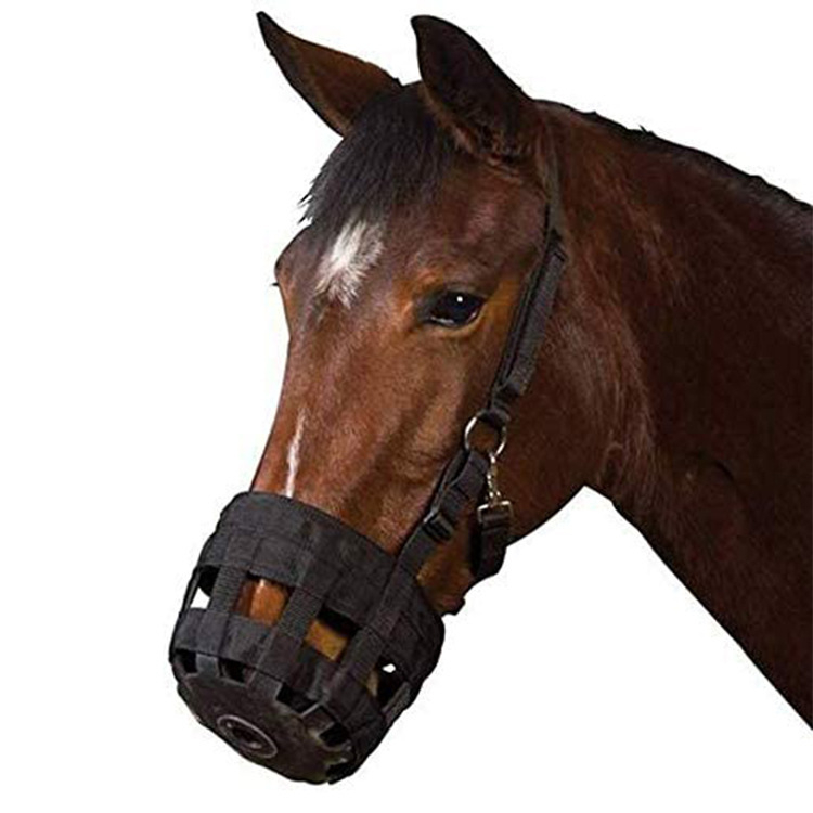 Hobuse suukate hobuse draakoni pea hobuse suukate hobuse komplekt hammustusvastane hobuse suukate ratsutamistarbed lintmask