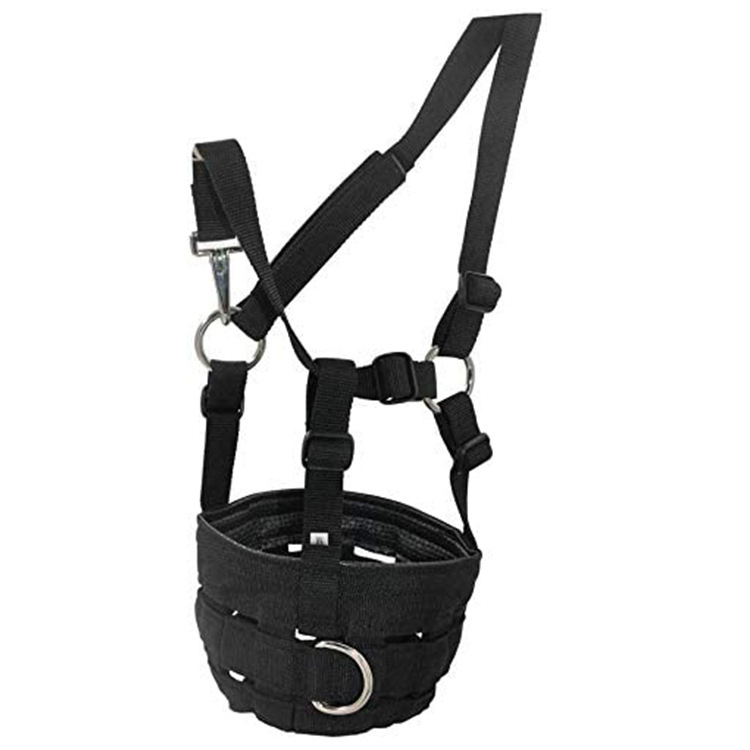 Poklopac za konjska usta, glava zmaja za konje, poklopac za konjska usta, set za konje, protiv ugriza, poklopac za konjska usta, oprema za jahanje, maska od vrpce