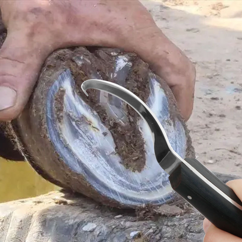 Нож за рязане на подкови за коне, ремонт на добитък, селскостопански коне, коне, ремонт на подкови за коне, говеда, животновъдство, нож за ремонт на подкови за добитък